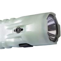 Lampe de poche, DEL, 378 lumens, Piles AA Helyx Safety & Industrial Supplies