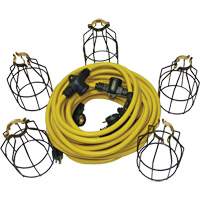 Guirlande &eacute;lectrique &agrave; DEL avec connecteur, 5 Lumi&egrave;res, 50' lo, Boîtier en M&eacute;tal Helyx Safety & Industrial Supplies