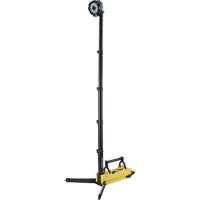 Lampe de sc&egrave;ne d&eacute;ployable portative, DEL, 5300 lumens, Boîtier en Plastique Helyx Safety & Industrial Supplies