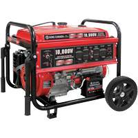 Gasoline Generator with Electric Start, 10000 W Surge, 7500 W Rated, 120 V/240 V, 25 L Tank Helyx Safety & Industrial Supplies