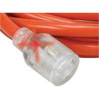 Generator Extension Cord with Quad Tap, Outdoor, 10 AWG, 30 A, 4 Outlet(s), 25' Helyx Safety & Industrial Supplies