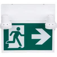 Enseigne d'homme qui court avec &eacute;clairage de s&eacute;curit&eacute;, DEL, &agrave; piles/&agrave; raccordement fixe, 12-1/10" lo x 11" la, Pictogramme Helyx Safety & Industrial Supplies