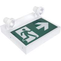 Enseigne d'homme qui court avec &eacute;clairage de s&eacute;curit&eacute;, DEL, &agrave; piles/&agrave; raccordement fixe, 12-1/10" lo x 11" la, Pictogramme Helyx Safety & Industrial Supplies
