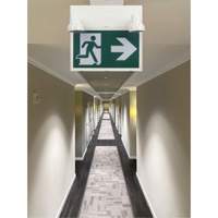 Enseigne d'homme qui court avec &eacute;clairage de s&eacute;curit&eacute;, DEL, &agrave; piles/&agrave; raccordement fixe, 12-1/10" lo x 11" la, Pictogramme Helyx Safety & Industrial Supplies