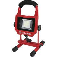 Work Light, LED, 15 W, 1500 Lumens, Aluminum Housing Helyx Safety & Industrial Supplies