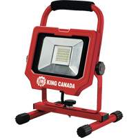 Work Light, LED, 20 W, 3000 Lumens, Aluminum Housing Helyx Safety & Industrial Supplies