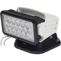 Projecteur orientable polyvalent &agrave; t&eacute;l&eacute;commande, DEL, 4250 lumens Helyx Safety & Industrial Supplies
