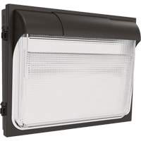 Applique murale TWX3, DEL, 347 V, 14" ha x 18" la x 5" p Helyx Safety & Industrial Supplies