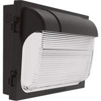 Applique murale TWX, DEL, 480 V, 9 W - 54 W, 14" ha x 18" la x 5" p Helyx Safety & Industrial Supplies