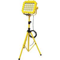 Diffuseur anti-d&eacute;flagration avec tr&eacute;pied, DEL, 40 W, 5600 lumens, Boîtier en Aluminium Helyx Safety & Industrial Supplies