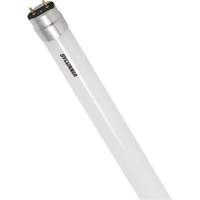Ampoule DEL en verre givr&eacute; SubstiTUBE, 12 W, T8, 5000 K, 48" l Helyx Safety & Industrial Supplies