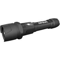 Lampe de poche pratiquement indestructible, DEL, 350 lumens, Piles AA Helyx Safety & Industrial Supplies
