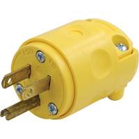 Fiche de rechange, PVC, 15 A, 125 V Helyx Safety & Industrial Supplies