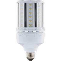 Ampoule HID de remplacement s&eacute;lectionnable ULTRA LED, E26, 18 W, 2700 lumens Helyx Safety & Industrial Supplies