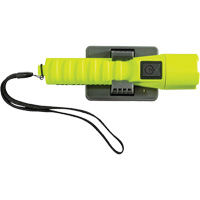 Lampe de poche 3335R, DEL, 246 lumens, Piles Rechargeable Helyx Safety & Industrial Supplies
