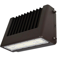 Luminaire mural, DEL, 120 V, 80 W, 6,5" ha x 9,3" la x 14,4" p Helyx Safety & Industrial Supplies