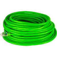 Industrial Extension Cord, All-Weather, SJTW, 10/3 AWG, 15 A, 50' Helyx Safety & Industrial Supplies