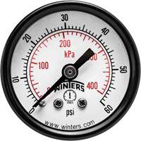 Economy Pressure Gauge, 1-1/2" , 0 - 60 psi, Back Mount, Analogue Helyx Safety & Industrial Supplies