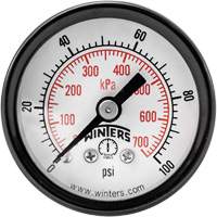 Economy Pressure Gauge, 1-1/2" , 0 - 100 psi, Back Mount, Analogue Helyx Safety & Industrial Supplies